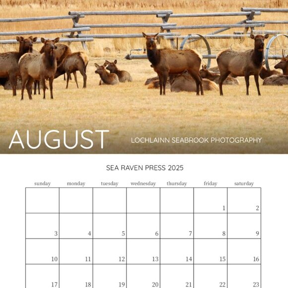Mini 2025 Rocky Mountain Custom Wildlife Calendar For Small Spaces 11.5" x 8" - Picture 9 of 13